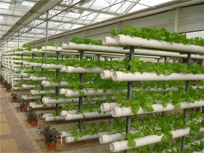 中卫市智能温室种植槽 - 价格